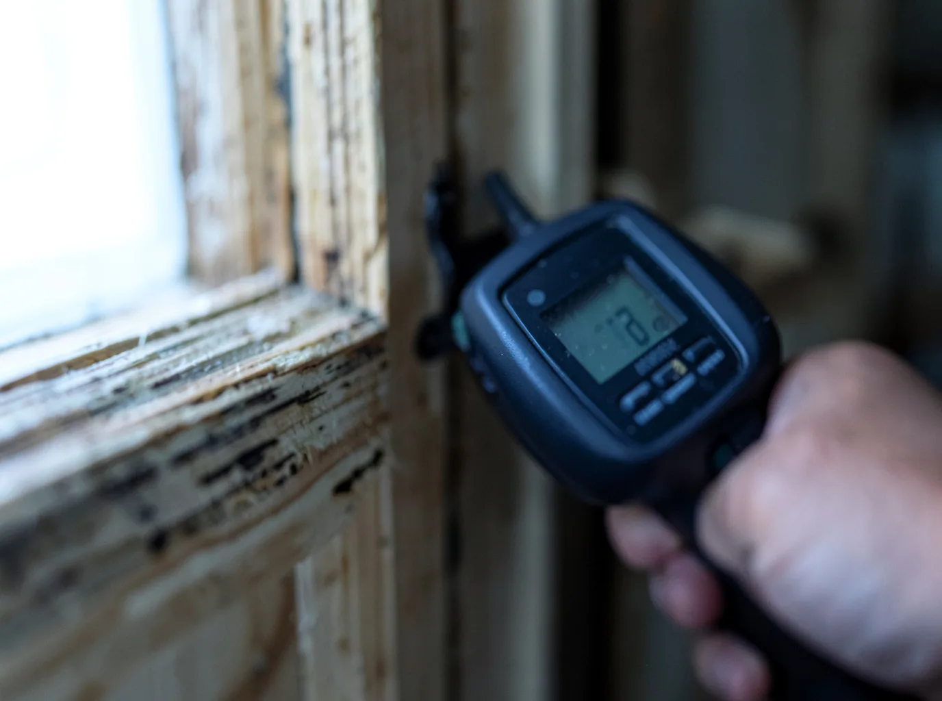 Moisture Inspection And Documentation in Paris, ID